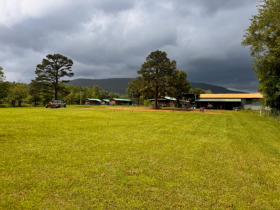 A picture of the rv sites at Big Cedar Cabins and RV Park.